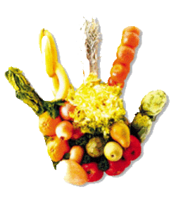 Manpulador-alimentos-mano