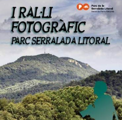 Ralli