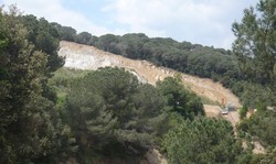 Pedrera