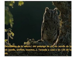 2onacaminadanocturna