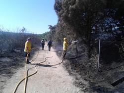 Foc-adf