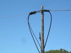 Linia-telefon