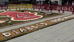 Dsc01933