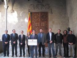 Consulta