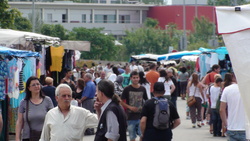 Dsc01929
