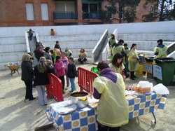 Festa_arbre
