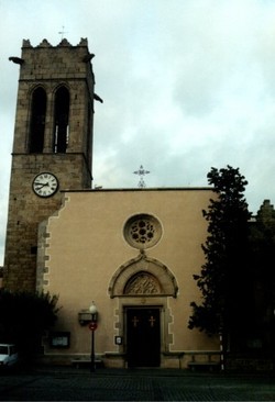 Stjuliaargentona