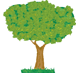 Arbol
