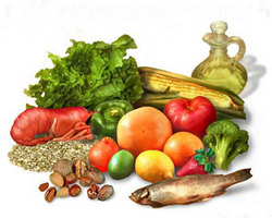 46_-_alimentaci_