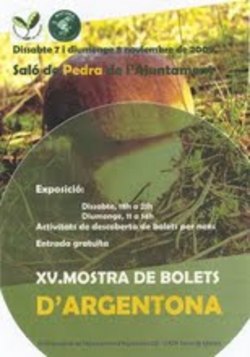 Bolets20090001