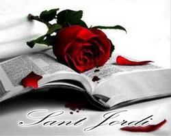 Rosa_i_llibre